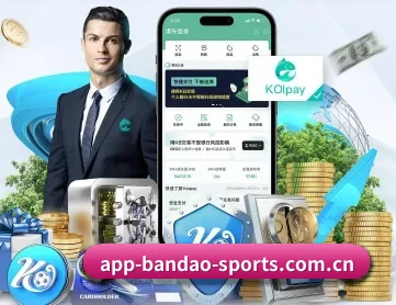 半岛体育 APP